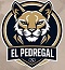 Adan R. / El Pedregal